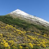 1560-Picos-de-Europa.jpg