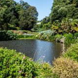 229-Trebah-Garden,-England-September-2024.jpg