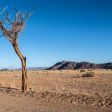 233-Desertcamp-bei-Sossuvlei,,Namibia-Juni-Juli-2025.jpg