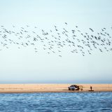 363-Catamerantour-Walfish-Bay,-Namibia-Juni-Juli-2025.jpg