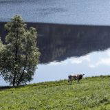 694-Sunde,-Norwegen,-Skandinavienreise-2018-.jpg