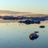 925-h-Ilulissat-auf-dem-Boot.jpg