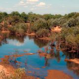 0128-Broome-Derby.jpg