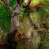 0154-Gibb-River-Road.jpg