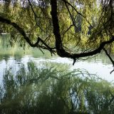 03-Stempflesee-Sept-2018.jpg