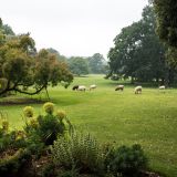 1180-Hidcote-Manor-Gardens-England-2019.jpg