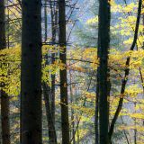 21-Dötterbichlweg-Ogau-Okt-Nov-2018.jpg