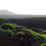 265-vor-Yaiza-Lanzarote-Nov.-2016.jpg
