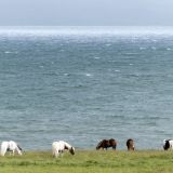 353-2-Holmavik-Richtung-Hvammstangi.jpg