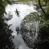 380-Arenal-NP.jpg