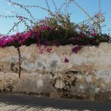 408-Teguise-Lanzarote-Nov.-2016.jpg
