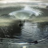 435-Alnwick-Gardens,-Wasserskulptur.jpg