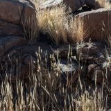 82-Giants-Playground,-Namibia-Juni-Juli-2025.jpg