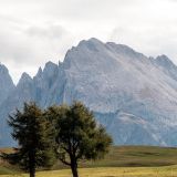 93-b-auf-der-Seiseralm.jpg