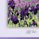 Blumen-Farbkreis-Doppel-4.jpg