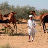 0171-Bikaner-bis-Jaisalmer.jpg