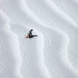 224-White-Sands.jpg