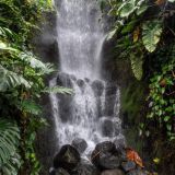300-Eden-Project,-England-September-2024.jpg