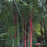 60-bei-Namuwoki-Lodge.jpg