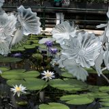 85-Kew-Garden-England-2019.jpg