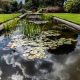 85-Tintinhull-Gardens,-England-September-2024.jpg