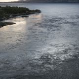877-Mahlstrom-in-Saltstraumen,-Norwegen,-Skandinavienreise-2018-.jpg