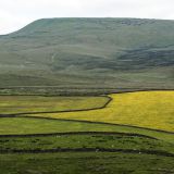 057-Wasserfall-Walk-StainforthYorkshire-Dales-England-2016.jpg