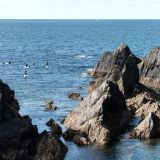 116-Burgh-Island-bei-Modbury,-England-September-2024.jpg
