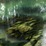 170-Radln-am-Mincio-bei-Borghetto.jpg