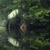 213-Bootsfahrt-Aninga-Lodge.jpg