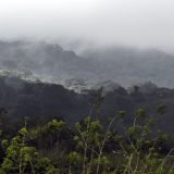 367-Fahrt-zum-Arenal-NP.jpg
